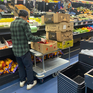 Steel 2 Tier Service Cart Heavy Duty Warehouse <b>Platform</b> <b>Trolley</b> Push Handle OEM Vietnam - Product Image 3