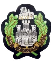 Insignia de bolsillo para blazer de estudiantes de medicina, bordada a mano con hilo de bullion, sin níquel, resistente al agua, ecológica, con relieve 3D, de lujo OEM