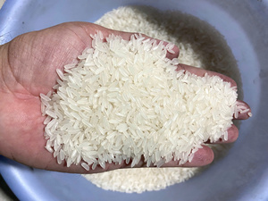 Arroz Jazmín Tailandés Hom Mali, Arroz Blanco de Grano Largo, Calidad Premium, 1 kg, 5 kg, 10 kg, 25 lb, 11,34 kg, 50 lb, Sophie 84 964 540 475 - Product Image 2