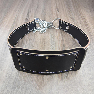 Professional Manufacture Belly <b>Belts</b> For Boxing Safety Wear Oem Services Available New Trending Design Leather Dipping <b>Belt</b> - Product Image 1