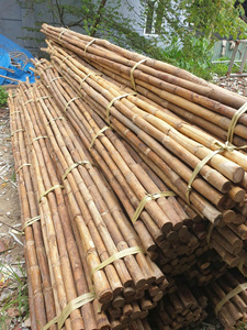 Varas de Ratán Natural Redondas de 1-2m de Largo, Origen Quang Binh, Vietnam, Marca 99GD, Modelo Emma para Muebles y Artesanías - Product Image 5