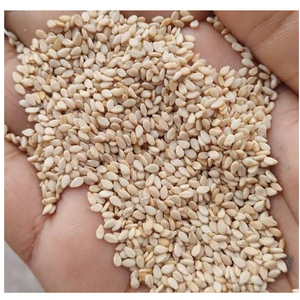 Nouvel Arrivage Meilleure Offre Qualité Supérieure Fabriqué en Inde 100% Pur Sésame Blanc Brut Séché Décortiqué Séché Naturellement Sortex 99,90% Pour la Cuisine - Product Image 1
