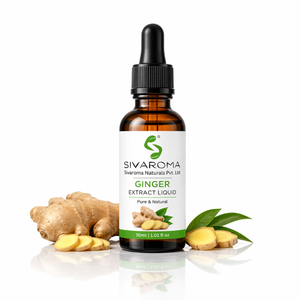 High Performance Ginger Liquid Extract for Industrial <b>Applications</b>, Suitable for Food Production, Culinary Uses, Flavor Blending - Product Image 5