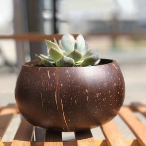 Décoration de jardin d'extérieur, pots à fleurs en coquille de noix de coco, prix de gros, pot à plantes fait main - Product Image 5