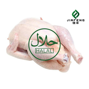 Pattes de poulet/pieds de poulet, poulet entier, parties de poulet - Poulet entier congelé halal provenant de - Product Image 5