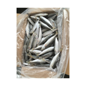 ปลาแมคเคอเรลแช่แข็ง จำหน่ายจำนวนมากสำหรับตลาดส่งออก - Product Image 2