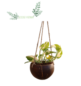 Pot de plantes en coquille de noix de coco de haute qualité/plantes en pot de noix de coco, fleur,... Avec des prix bon marché et un emballage personnalisé de Eco2go Vietnam - Product Image 1