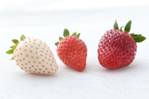 Frutas Japonesas Frescas de Primera Calidad, Selección Estricta, Fresas Dulces - Product Image 2