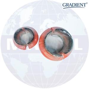 COUPLING 5.3129E3 ใช้ได้กับเครื่องอัดอากาศแบบสกรู - Product Image 2