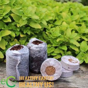 Pastilles de coco compressées de qualité supérieure – Plaquettes de semis 100 % biologiques pour une propagation efficace (OEM/ODM) - Product Image 3