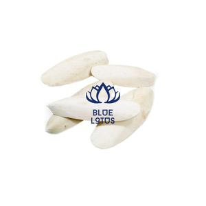 HOT SELLING BLUE LOTUS Cuttlefish Bone Dried Clean Calcium Vitamin E Source Fast Absorption Safe Digestive Health Parrot Care - Product Image 1