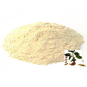 Fabricante Botánico Premium, Extracto de Raíz de Vetiveria Zizanioides en Polvo, Ingrediente Natural para Productos de Cuidado Personal, OEM - Product Image 3