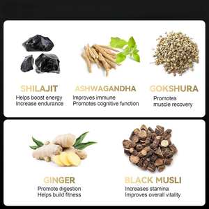 Gomitas de Shilajit Puro del Himalaya con Extracto de Ashwagandha, Suministro OEM, Gomitas Naturales de Shilajit para Reforzar la Fuerza y la Resistencia - Product Image 2