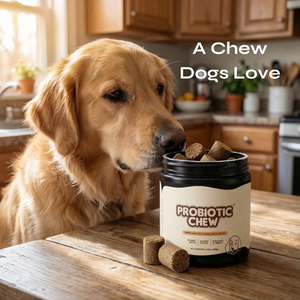 Friandises probiotiques pour chiens et chats : Soutien digestif, immunitaire et intestinal, pour une peau et un pelage sains et une digestion rapide. - Product Image 6