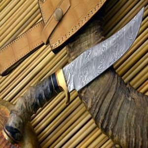 Couteau à lame fixe en acier Damas, couteau de chasse à pointe tombante avec manche en corne et étui en cuir - Product Image 1