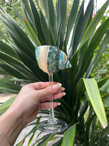 แก้วไวน์ทรงเปลือกหอย แก้วแชมเปญฐานโลหะ สไตล์ชายฝั่ง ตกแต่งด้วยเปลือกหอยธรรมชาติ ราคาส่งที่ดีที่สุด - Product Image 5