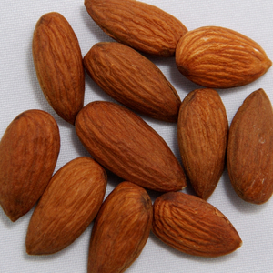 Amandes séchées riches en protéines, expédition en vrac pour les acheteurs de collations saines et les commerçants d'ingrédients alimentaires naturels - Product Image 3