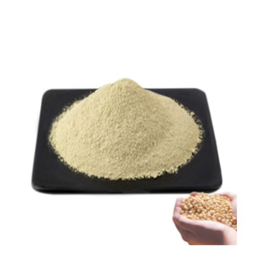 Aditivo Alimentario, Proteína de Soya Aislada Concentrada al 90%, Proteína de Soya en Polvo - Product Image 2
