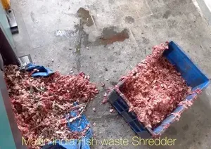 Solution de traitement électrique semi-automatique à double arbre pour broyeur de déchets de poisson de qualité supérieure, luxueux et élégant - Product Image 2