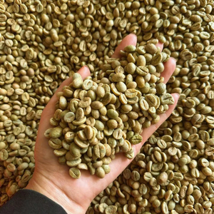 Vietnam Specialty Robusta Green <b>Coffee</b> <b>Beans</b> Size 18, Moisture 12.5% Max, USDA Certified, Bulk Wholesale Export from Farm - Product Image 1