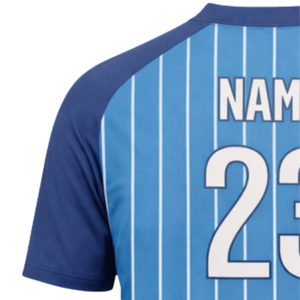 Camiseta de Béisbol Personalizable con Rayas Azules y Cuello en V, Nombre del Equipo y Número del Jugador Personalizados, para Ropa Deportiva y Uniformes Masculinos - Product Image 4