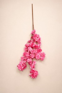 การจัดตกแต่งดอกไม้แบบมีเอกลักษณ์ - Product Image 5