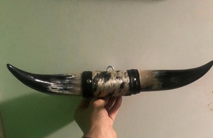 Mounted Steer Horn Set Eco-Friendly Handmade <b>Rustic</b> Modern Animal Love Polished Horns Bull Western Home Decoration Easter - Product Image 3