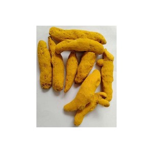 Dedos de Cúrcuma Natural al por Mayor, Grado Alimenticio, Exportador a Granel - Product Image 4