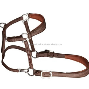 Licou de cheval en cuir rembourré cousu fantaisie haut de gamme avec muserolle de forme anatomique et matériel en laiton solide - Product Image 5