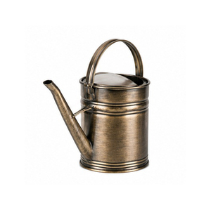 Large Capacity Antique Design Hand Painted Most Popular Water <b>Cane</b> Minimalist Home and <b>Garden</b> Decorative Metal Water Can - Product Image 4