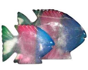 Poisson Onyx Arc-en-ciel Premium, Poisson Tropical Vivant pour Aquarium, Poisson Exotique Coloré pour la Décoration d'Aquarium Domestique - Product Image 5