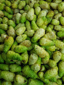 Empaquetado personalizado al por mayor fruta seca de Noni para hacer té de hierbas y jabón fruta de Noni - Product Image 6