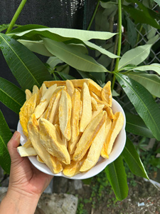 Cubes de mangue lyophilisés 5x5mm 100% naturels sans sucre ajouté faible teneur en humidité collation de fruits directement de l'usine au Vietnam - Product Image 6