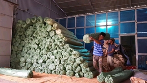 Fabricant vietnamien de fibres naturelles de jonc de mer séchées pour l'artisanat et le tissage, fournisseur en gros, exportateur - Product Image 4