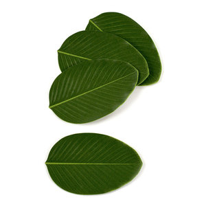 DreamCraft 4-Piece <b>Set</b> of Coasters Drinkware <b>Kitchen</b> <b>Accessories</b> with Stylish Design - Product Image 2