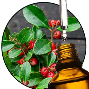 Aceite de Salicilato de Metilo de Alta Pureza, Aceite de Wintergreen, Producto Químico Aromático Natural para la Industria Cosmética, Aromatizantes y Fragancias, Suministro a Granel - Product Image 1