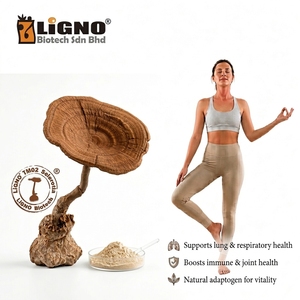 Poudre de champignon Lignosus Rhinocerus Sclerotium LiGNO TM02 (Tiger Milk Mushroom) 100% Pure, Séchée à Froid, Complément Alimentaire de Qualité Alimentaire - Product Image 1