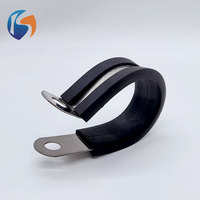 Collier de serrage pour tuyau en caoutchouc, collier de serrage pour tuyau en acier inoxydable avec coussinets