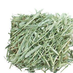 Heno de Timothy Fresco y Seco, Alimento para Mascotas, Proveedor de Pasto, Distribuidor Mayorista, Exportación en Grandes Cantidades - Product Image 2