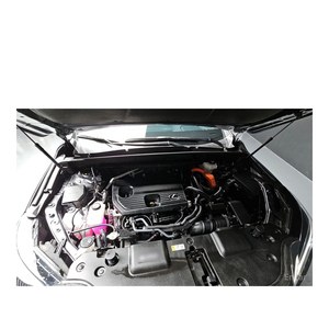 Lexus NX Premium, Modelo Julio 2024, 8,651 km, Volante a la Izquierda, Asientos de Cuero, Cámara Trasera - Product Image 6