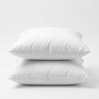 Ensemble de coussins de lit d'hôtel de luxe carrés tissés avec taie d'oreiller, couleurs et logo personnalisés, literie écologique pour la maison, service OEM