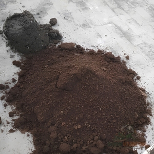 Engrais organique actif fermenté en poudre sèche à base de fumier de vache, riche en matière organique, nutritif pour les plantes, compost pour la fertilité des sols agricoles - Product Image 5