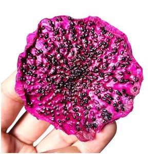 ÉXITO DE VENTAS: Pitaya Seca Saludable y Ecológica, Rebanadas de Pitaya Ricas en Antioxidantes, BLUE LOTUS FARM, Sabor Dulce, Envasado al Vacío - Product Image 1