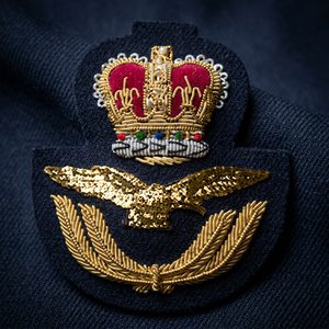 RAF CAP BADGE 1000006 High Quality Lace HAND Embroidered 3D Customized Patch <b>Sew</b>-On Fabric Badge Circular Luxury for Garment - Product Image 3