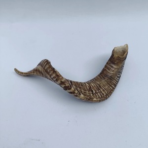 Par de Cuernos de Carnero Gigantes, Cuernos Naturales Crudos de Gran Tamaño para Decoración y Manualidades, Alta Calidad - Product Image 2