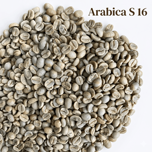 Granos de Café Verde Orgánico Arábica S16, Grado A, Puro, Natural, Sin Alérgenos, a Granel para Tostar, Calidad Estable, Exportación al por Mayor - Product Image 1