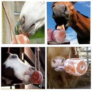 Sel à lécher de l'Himalaya biologique, bloc minéral pur comestible de 2 kg avec corde de suspension pour animaux de ferme et sauvages - Product Image 4