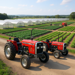 รถแทรกเตอร์มาสซีย์เฟอร์กูสัน MF 375 75 แรงม้า ดีเซล ขับเคลื่อน 2 ล้อ และ 4 ล้อ เครื่องจักรกลการเกษตรสำหรับโรงเรือนเพาะปลูก - Product Image 3