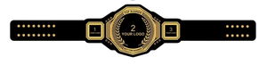 Ceinture de championnat de lutte personnalisée noire avec plaque dorée et espace pour logo, personnalisable avec votre nom - Product Image 5