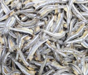 Anchoas Secas Saladas, Bocadillo Natural de Mariscos, Suministro al por Mayor - Product Image 1